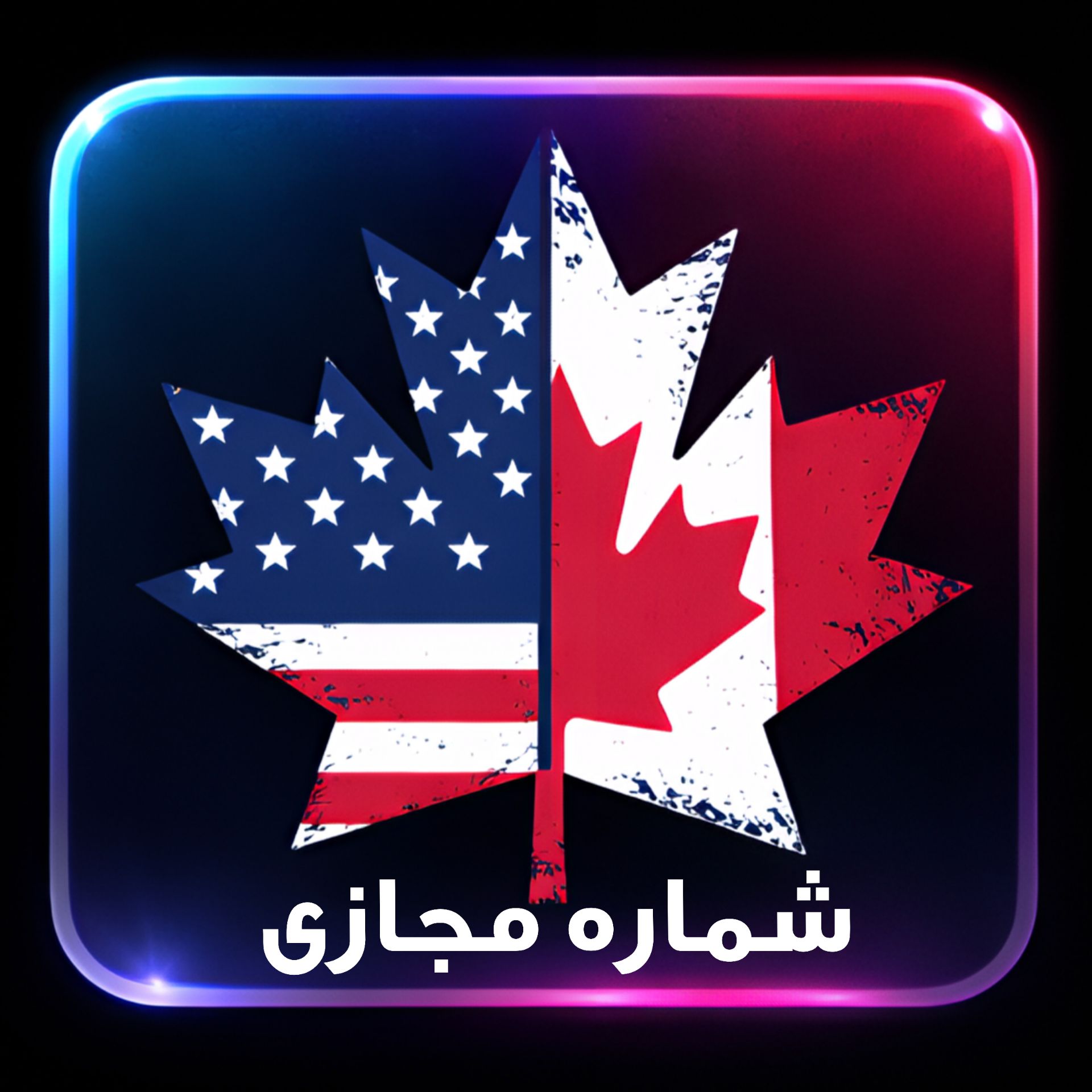 شماره مجازی خام